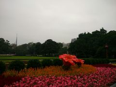 -广州中山纪念堂
