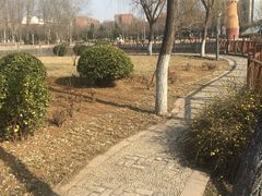 -张店儿童公园