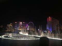 -拉斯维加斯O秀