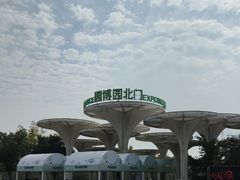 -武汉园博园(武汉自然博物馆)
