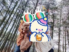 -石棉县孟获城