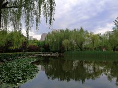 -木塔寺遗址生态公园