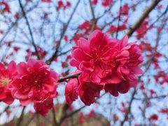 -玉石林风景区