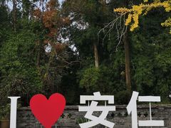 -安仁古镇