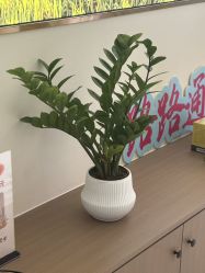 -头道汤头疗养生馆