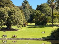 -墨尔本皇家植物园