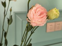 -南堂馆·新川菜(春熙路店)