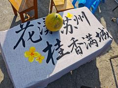 -苏州市吴中区光福窑上花果蜜饯厂