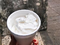 椰子雪糕-洪馨椰子