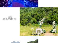 -重庆彩云湖湿地公园