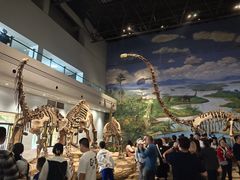 -自贡恐龙博物馆