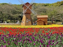 -苏州上方山国家森林公园