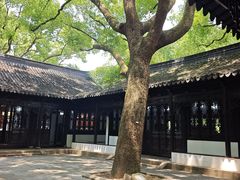 -上海醉白池公园