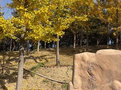 -翠湖国家城市湿地公园