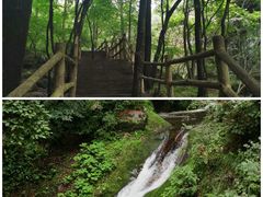 -牛背梁国家森林公园