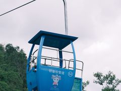 -野象谷景区