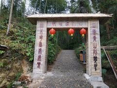 -九龙江国家森林公园