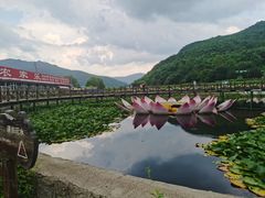 -帽儿山风景区