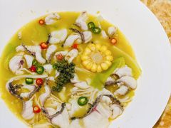 -青花椒花椒鱼(合生汇店)