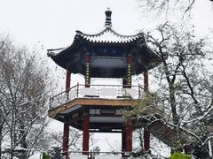 -莲花池公园