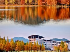 -浙江农林大学(东湖校区)