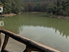 -滴水岩森林公园
