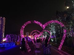 -东南花都花博园