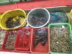 -红海湾豪记海鲜大排档