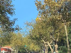 -九龙餐厅(大沽路店)