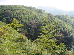 -藏龙百瀑风景区