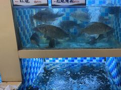 -野渡坡·极致湘菜·庭院餐厅(汉阳店)