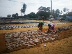 -尼甘布海鲜市场