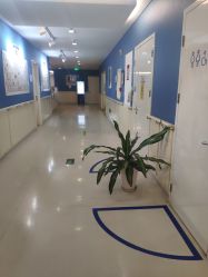 -天津和睦家医院
