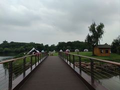 -梁鸿国家湿地公园