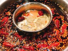 -青年火锅(吾悦广场直营店)