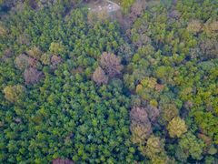 景点-青龙山国家森林公园