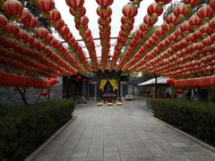 景点-大槐树寻根祭祖园