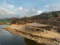 -青岛森林野生动物世界