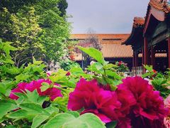 -故宫博物院(故宫)