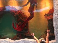 ‍♀️表演1-瑞德姆美人鱼海底演艺主题餐厅(亚龙湾店)