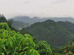 -东莞市大岭山森林公园