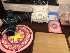-雨林宠物医院 非犬猫异宠专科