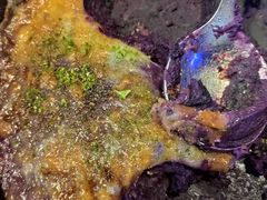 -外婆私房菜(新亚百货店)