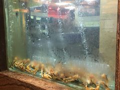 -海逸海鲜酒家(古北店)