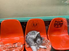 -猫咪博物馆(顶澳仔猫街店)