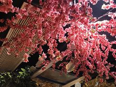 -城墙拐拐火锅(三峡广场黑金冠店)