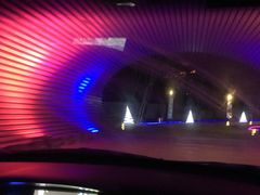 -枫花园汽车电影院(朝阳公园店)