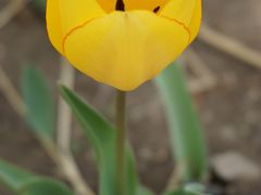 -长春公园(普阳街道)