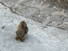 -南京珍珠泉风景区