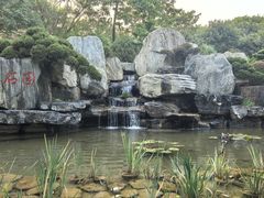 -东莞植物园